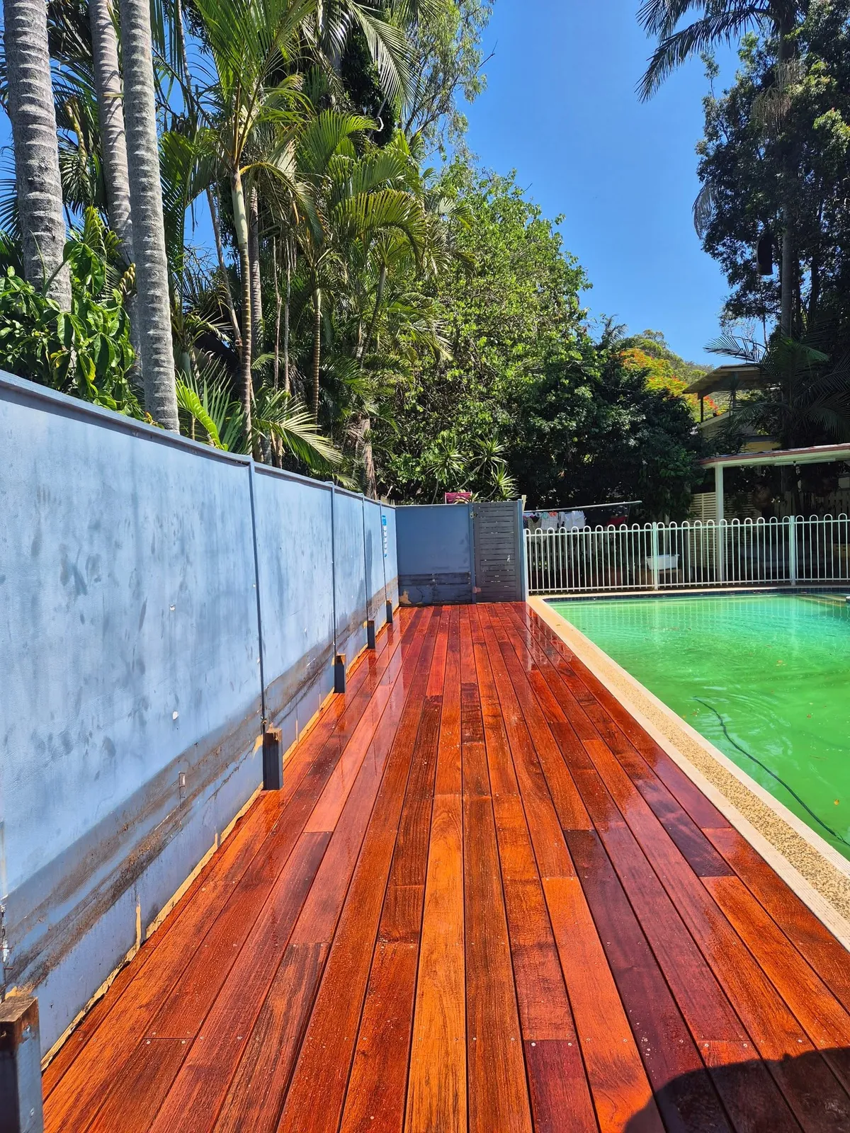 Pool deck under the palms